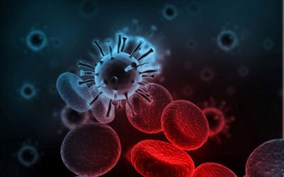 Central Government Sends Expert Team to Tackle Chandipura Virus and AES Outbreak in Gujarat