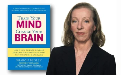 Train Your Mind, Change Your Brain: A Comprehensive Overview