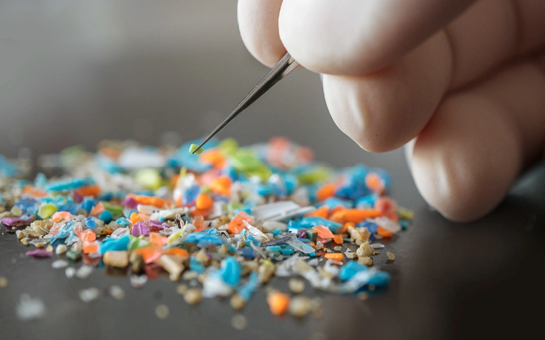 Microplastics Everywhere: From Soil to the Food on Your Plate