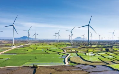 India Achieves Major Climate Goal Five Years Early, Leads Global Clean Energy Shift